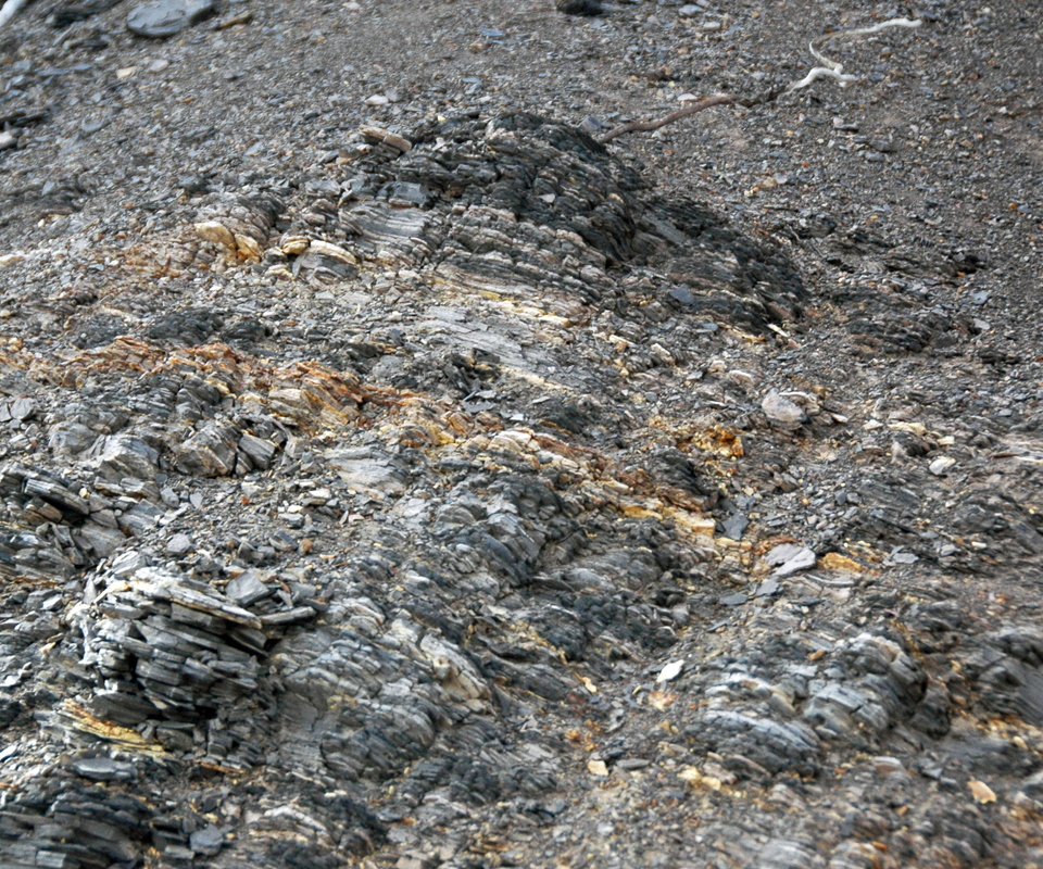 Bentonite-1-1
